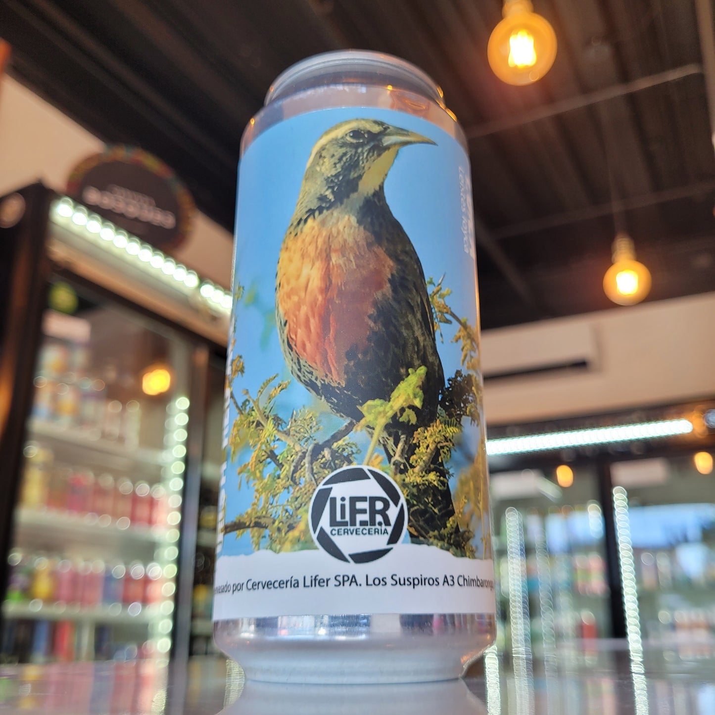 Foto de Lifer Loica Irish Red Ale 473ml - Cerveza Artesanal en Puerto Cervecero, Puerto Varas