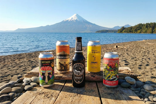 Top 5 Cervezas Artesanales del Sur de Chile
