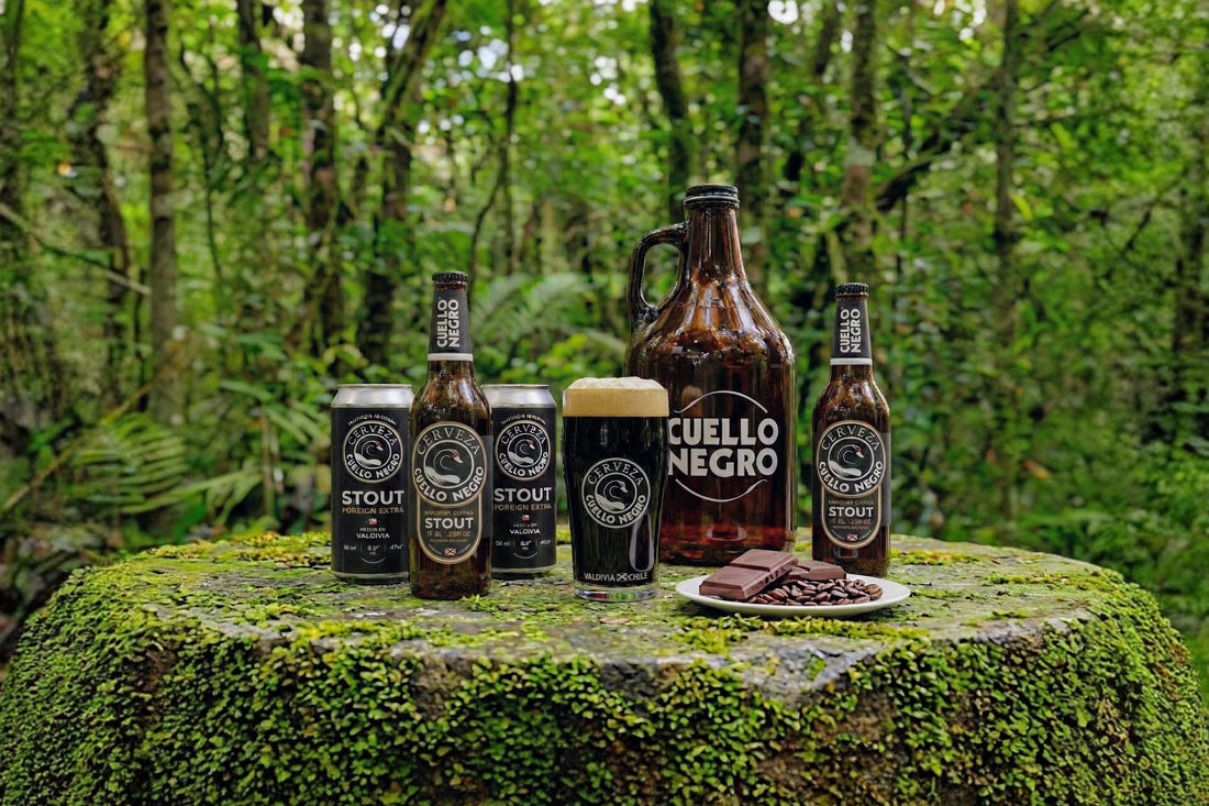 Stout de Cuello Negro: La más buscada de Chile