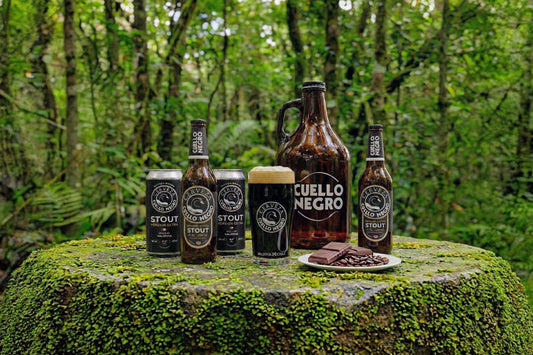 Stout de Cuello Negro: La más buscada de Chile