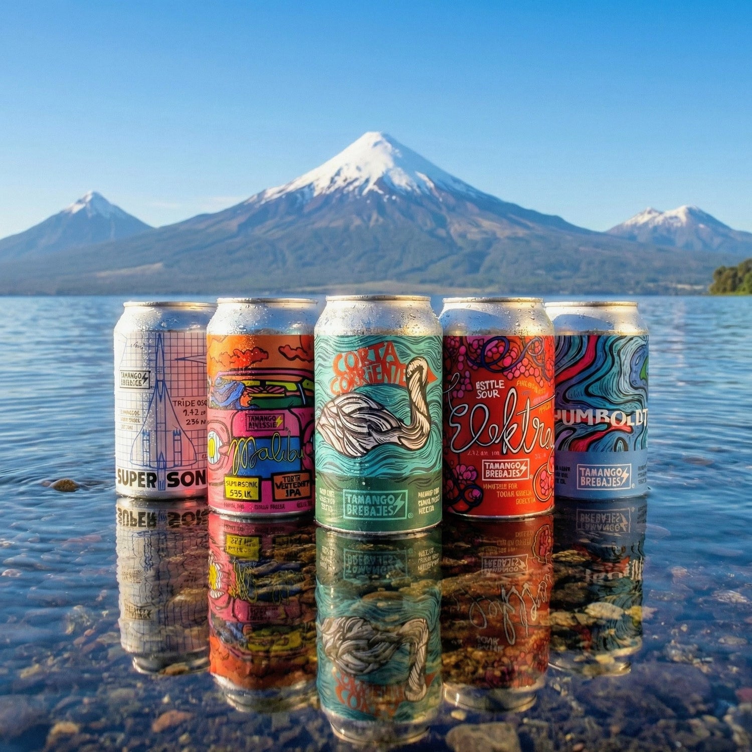 Foto de la colección Tamango Brebajes de Puerto Cervecero en Puerto Varas