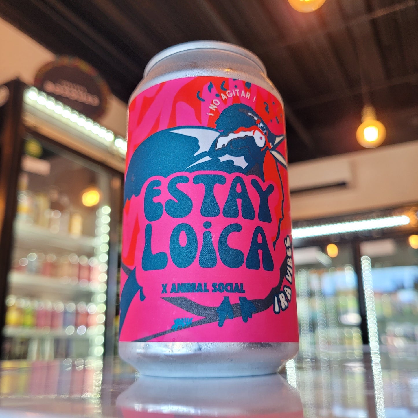 Foto de Animal Social Estay Loica Kombucha IRA Vibes 355ml - Kombucha en Puerto Cervecero, Puerto Varas