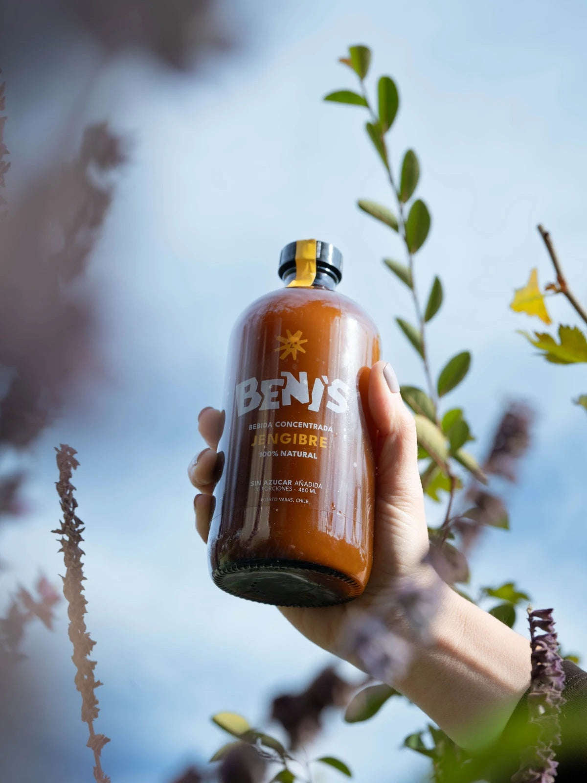Beni's 480ml en mesa - Concentrado de jengibre artesanal