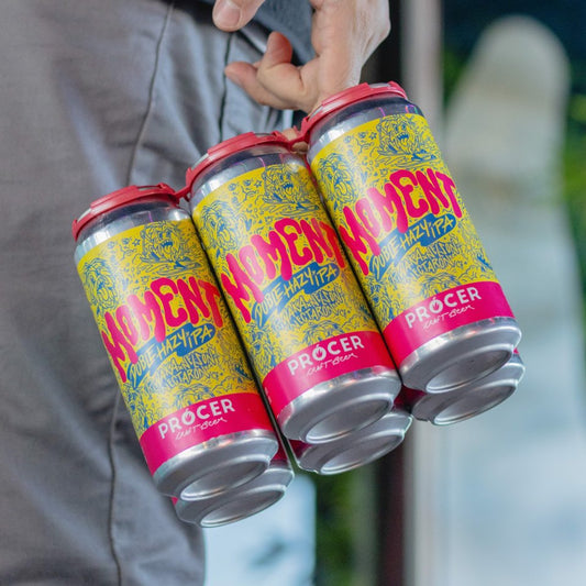 Prócer Moment Doble Hazy IPA 473cc - Disponible en Puerto Cervecero, Puerto Varas